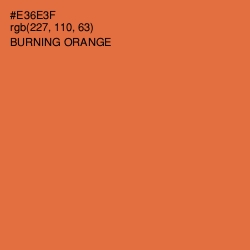 #E36E3F - Burning Orange Color Image